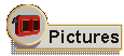 Pictures
